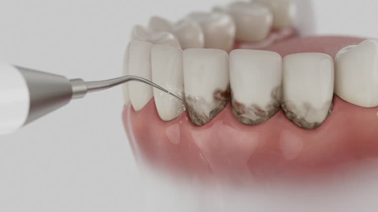 Reliable Dental contractor in Broadwater County County, MT by Dentist Open Now